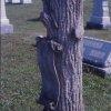 New Haven Rural Cemetery